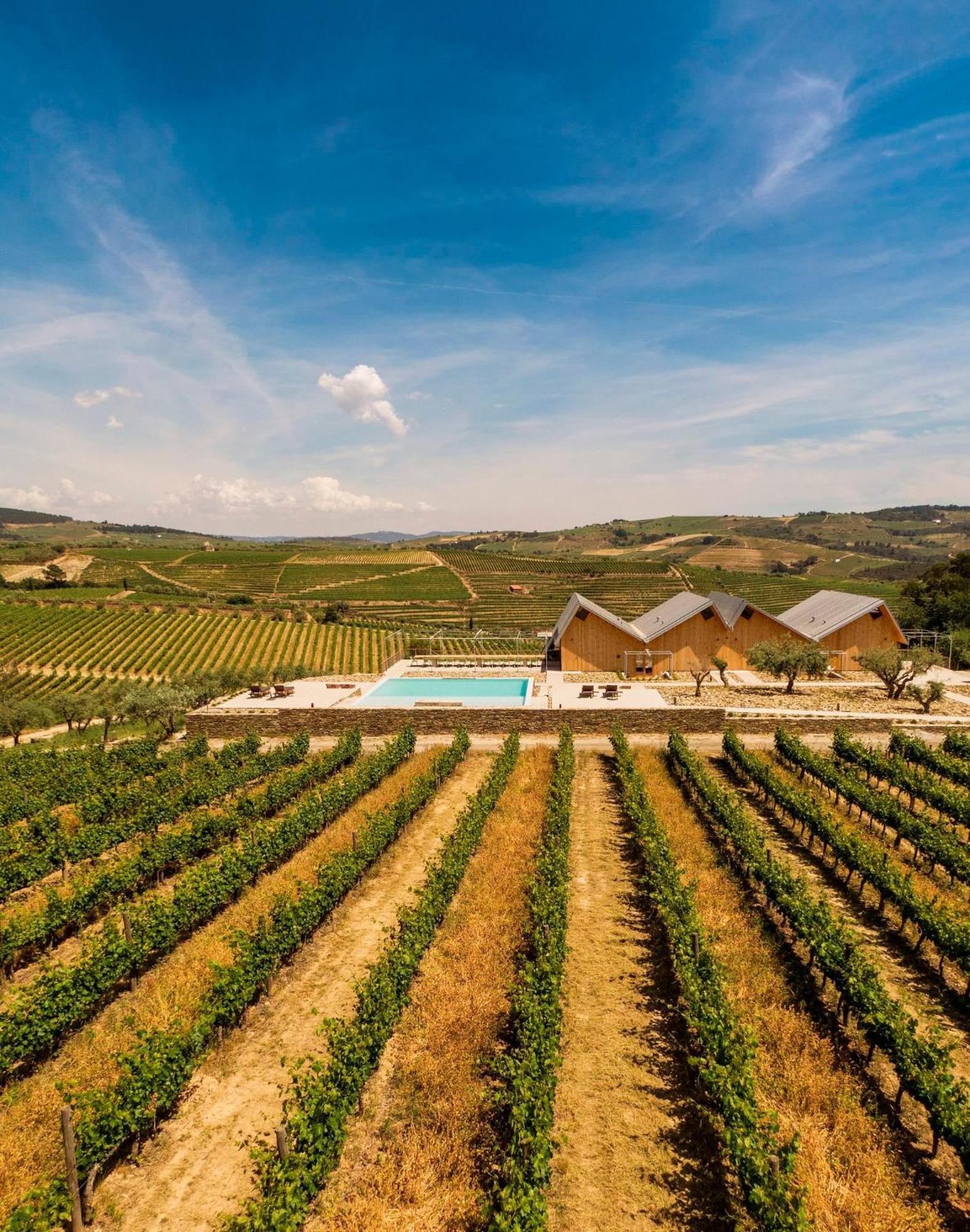 Villa Quinta Da Faisca - Agro Turismo à Favaios Extérieur photo